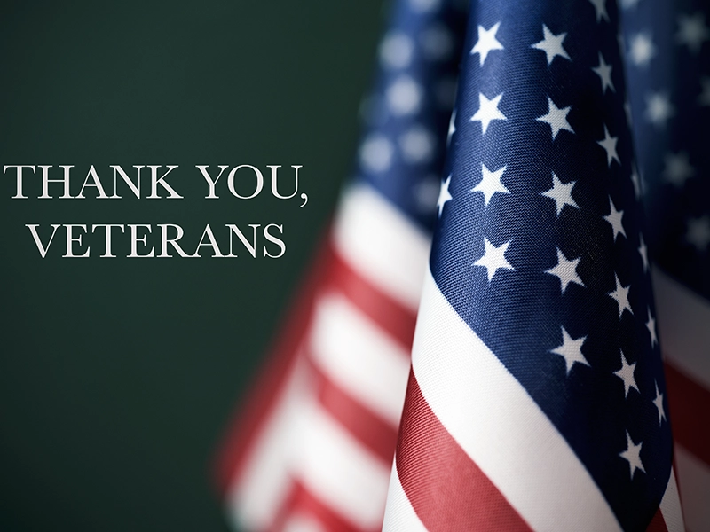 Close-up of a folded American flag showing white stars on blue and red and white stripes. To the left, bold white text reads "THANK YOU, VETERANS" on a dark green background, perfect for honoring Veterans Day and finding meaningful ways to thank a Veteran.